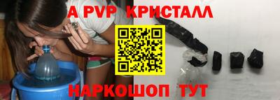 бошки Гай