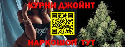 амф Гатчина