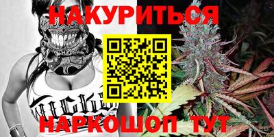 амф Гатчина