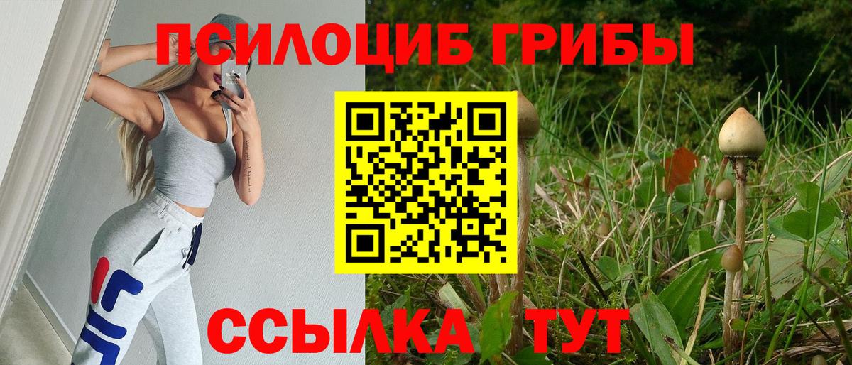 Псилоцибиновые грибы прущие грибы  Вход с VPN  Галлюциногенные грибы ЛСД  купить закладку  Димитровград 